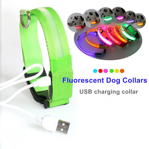 LED Glow Dog Collar & Leash for Night Safety