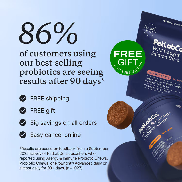 Allergy & Immune Chews - dog probiotics for seasonal allergies