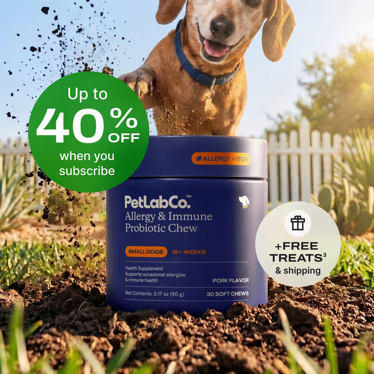 PetLabCo allergy and immune probiotic chew for dogs with a dog running in the background.