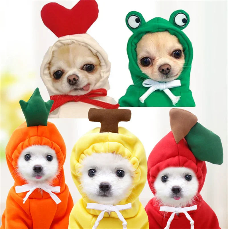 Adorable puppies in cute fruit and frog costumes, perfect pet toys and accessories for fun playtime.