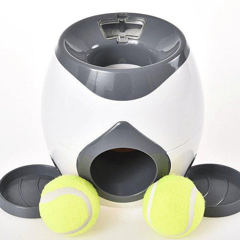 Automatic Pet Training And Feeding System