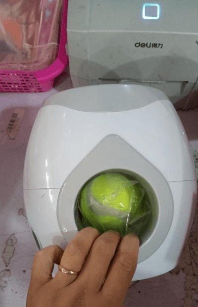 Automatic Pet Training And Feeding System