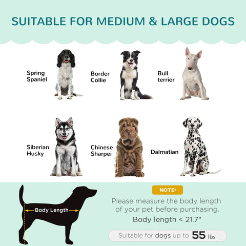 Pearl Design Pet Sofa for Medium and Large Sized Dogs, Pet Bed with Cushion and Solid Wood Legs, Green