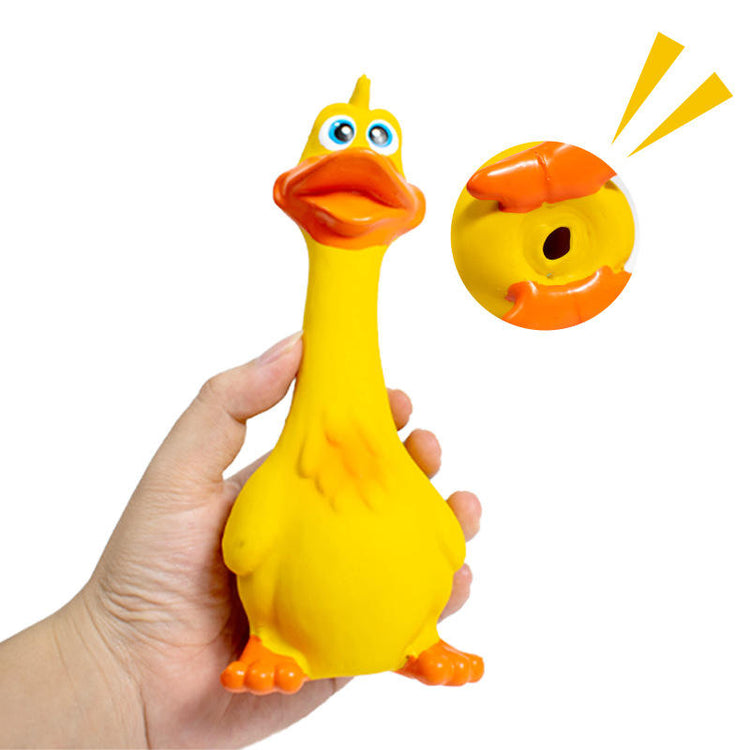 Yellow rubber duck dog toy with squeaker, perfect for pet play and bath time fun