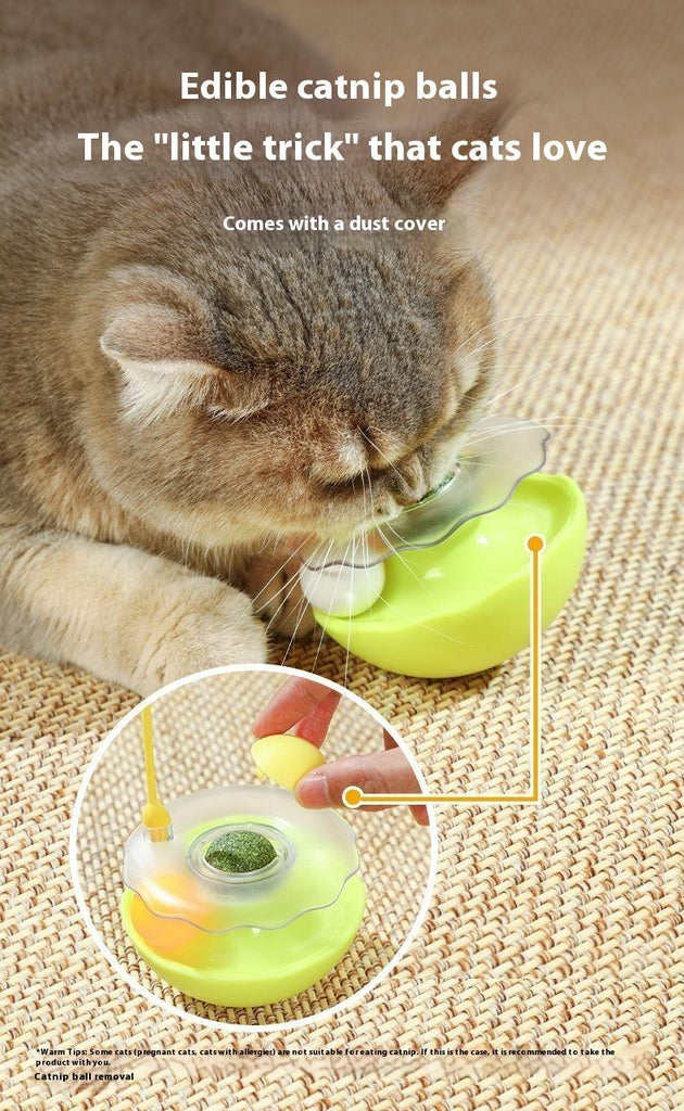 Cat playing with edible catnip ball toy in green dispenser, perfect cat accessory for fun and grooming