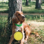 Silicone Foldable Pet Food Water Feeder, Collapsible Travel Bowl for Dog and Cat, Outdoor Portable