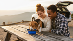 Silicone Foldable Pet Food Water Feeder, Collapsible Travel Bowl for Dog and Cat, Outdoor Portable