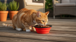 Silicone Foldable Pet Food Water Feeder, Collapsible Travel Bowl for Dog and Cat, Outdoor Portable