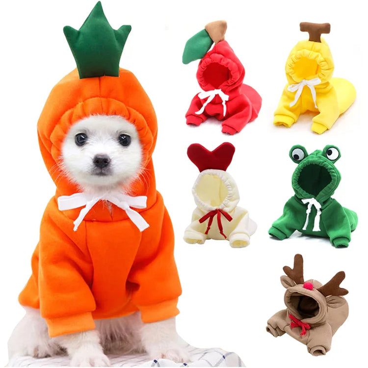 Adorable puppy in carrot costume with cute pet outfits including frog, reindeer, and apple designs for dog toys and cat accessories.