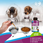 Cat And Dog Multivitamin Liquid With Glucosamine & Cranberry 15 In 1 Health Supplements For Urinary Tract Kidney Bladder Hip And Joint Skin And Coat 60 Ml