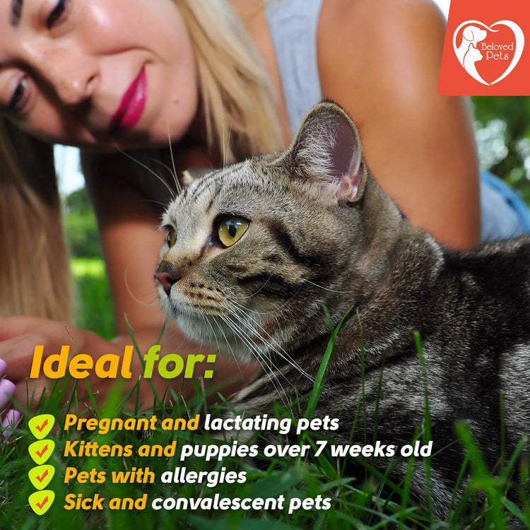 Flea And Tick Prevention For Dogs Cats Rabbits Natural Flea Treatment Home Pest Control Topical Flea Mosquito Repellent For Puppy Kitten 3 Drops For Small And Large Pet