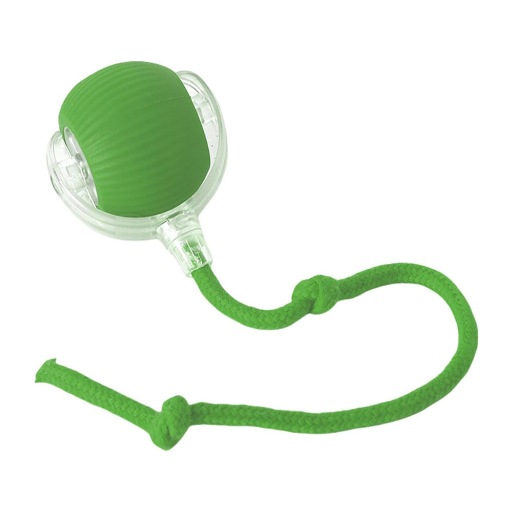 Green dog toy with rope and clear plastic casing for interactive play