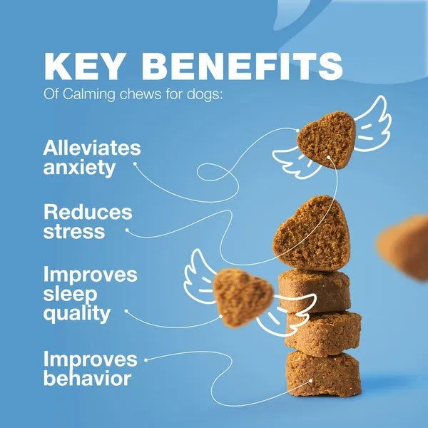 Calming chews for dogs: reduces anxiety, stress, improves sleep & behavior — ideal pet supplies for happy pups