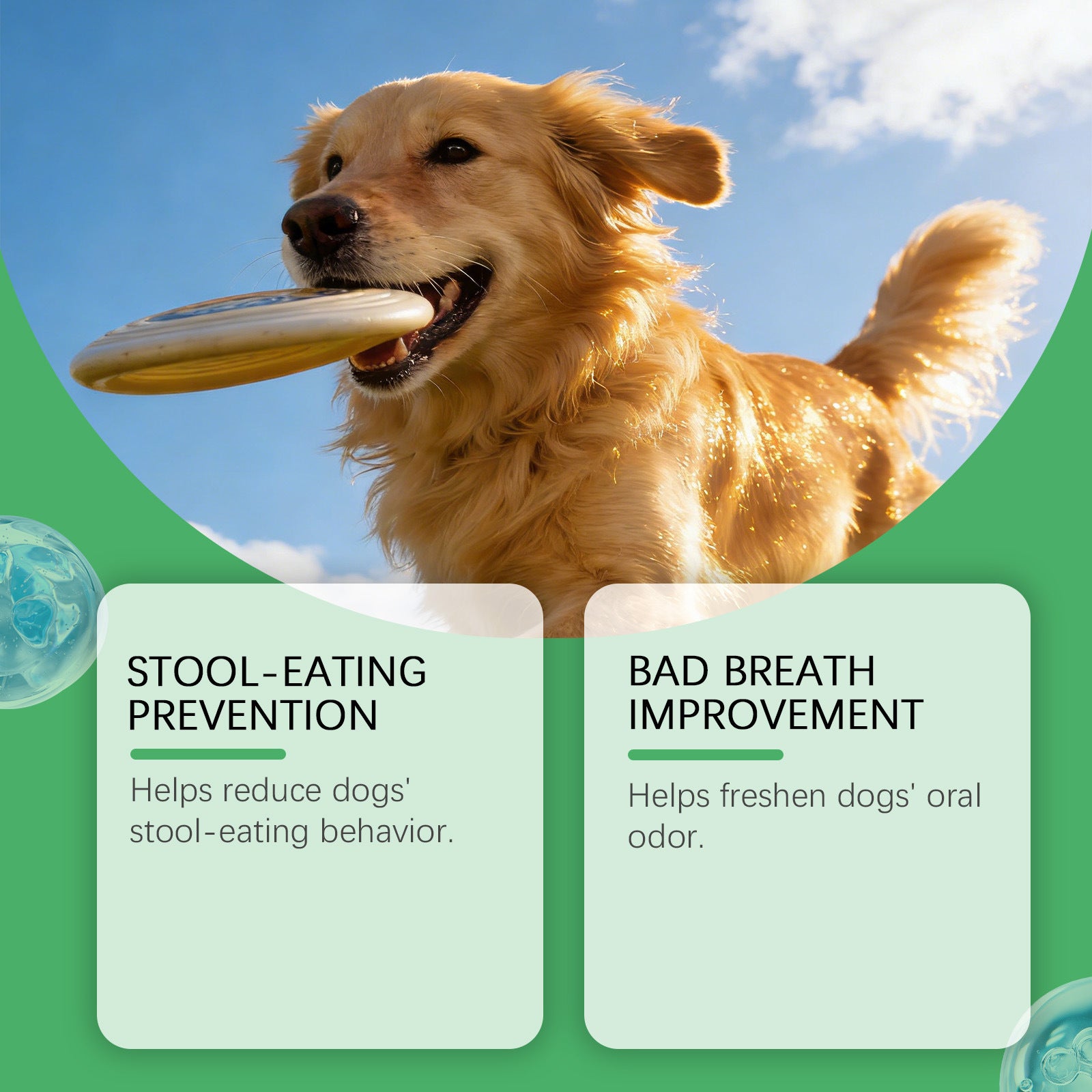 Dog Stool-prevention Chewable Tablets