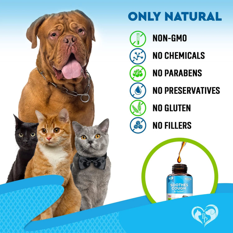 Kennel Cough Treatment Natural Infection Medicine For Dogs And Cats Respiratory Colds Cough Relief Collapsed Trachea And Cat Asthma Support