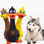 Fun dog toys: colorful rubber ducks for playful pups and pet fun