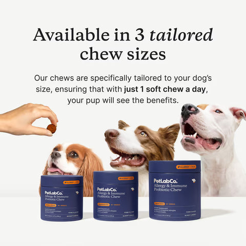 PetLabCo allergy and immune probiotic chew for dogs with a dog running in the background.